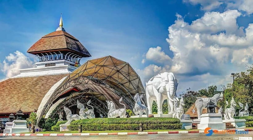 Chiang Mai Night Safari Ticket & Tram Rides Optional Pickup - What the $34 price means