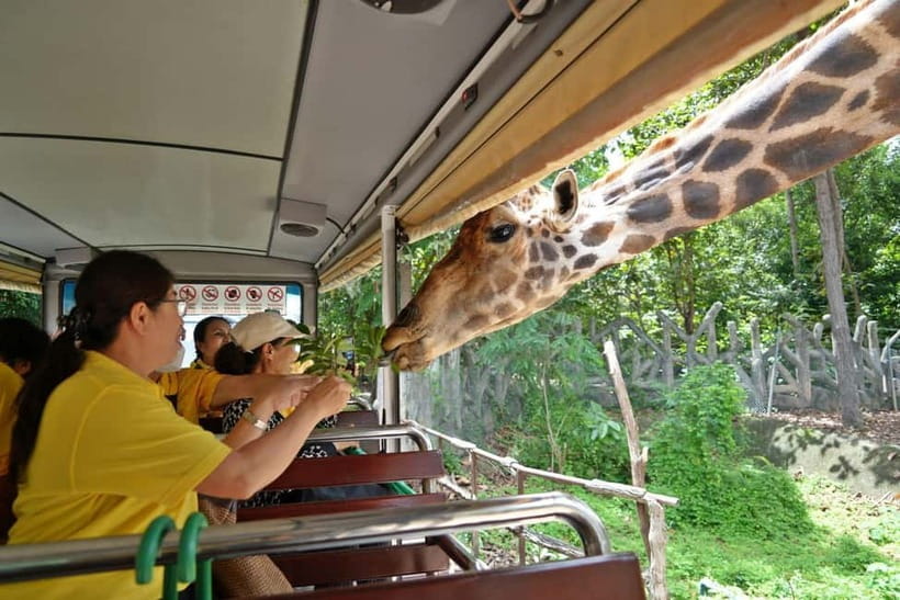 Chiang Mai Night Safari Ticket & Tram Rides Optional Pickup - Practical timing and comfort tips