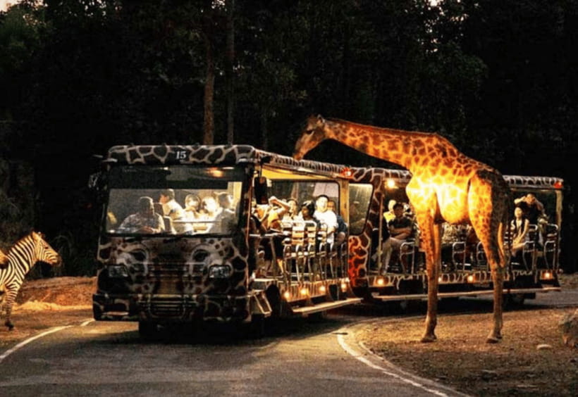 Chiang Mai: Night Safari Ticket with Transfer - Key Points Before You Book