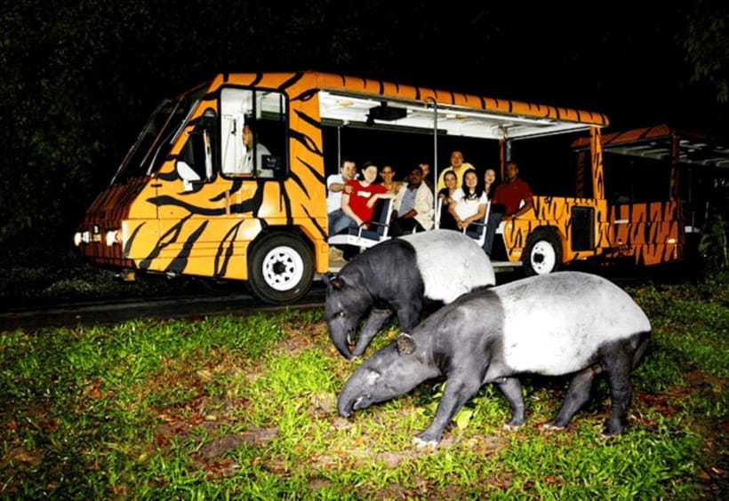 Chiang Mai: Night Safari Ticket with Transfer - What the Transfer Service Adds