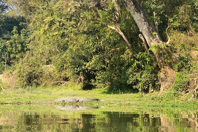 Chitwan Jungle Safari Tour - Day two: birds and the Rapti River