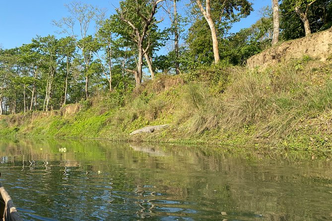 Chitwan Jungle Safari Tour - Is $140 a fair price?