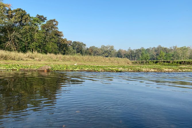 Chitwan Jungle Safari Tour - Who this Chitwan tour suits best
