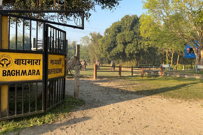 Chitwan Jungle Safari Tour - The Natural Museum gives the park some context