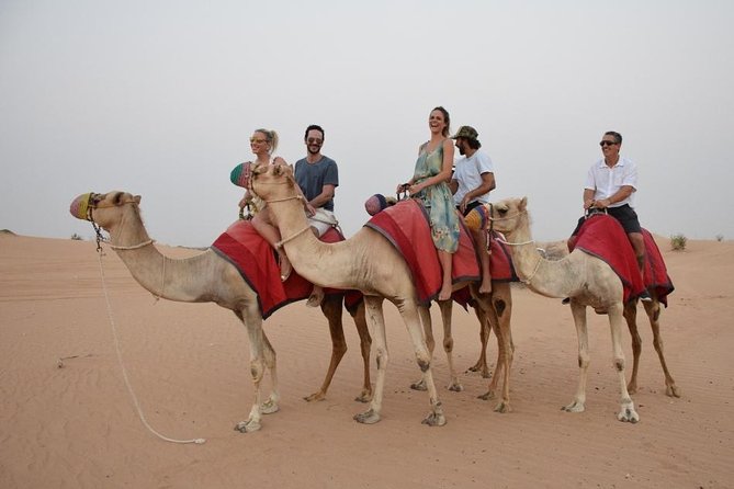 Classic Dubai Desert Safari with BBQ Dinner and Camp activities - BBQ dinner under the evening sky
