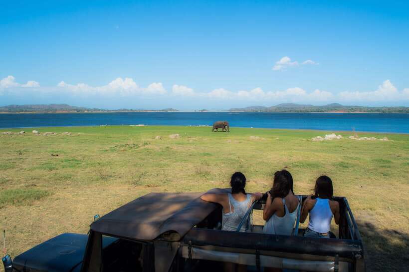 Colombo/Negombo: Sigiriya, Dambulla, and Minneriya Safari - Should you book this Sigiriya and safari day?