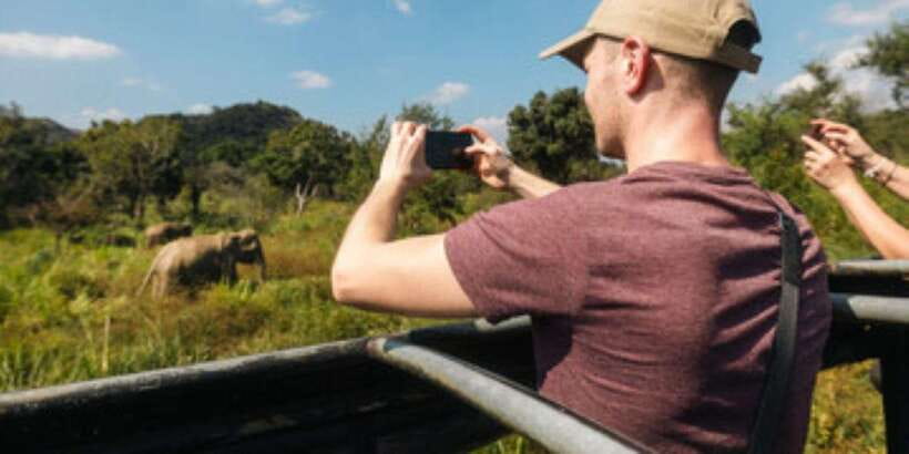Colombo/Negombo to Sigiriya, Dambulla & Jeep Safari Day Tour - A safari among elephants and birds