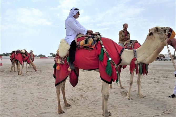 Combo Culture & Adventure: North Qatar Heritage & Desert Safari - Starting in Doha with hotel or airport pickup