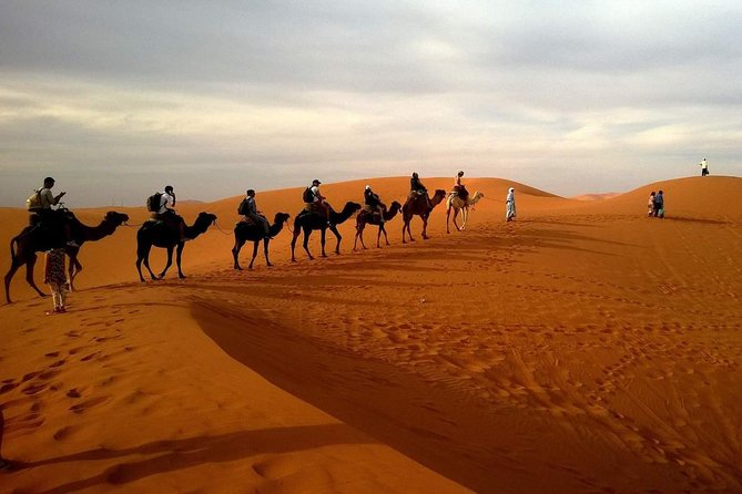 Combo Dubai City Tour and 4X4 Desert Safari with Dinner - Al Fahidi Fort and Dubai Creek: the morning’s strongest stop