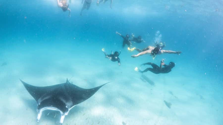 Coral Bay: Marine Eco Safari - Swim With Manta Rays - First snorkel: coral gardens in Bills Bay