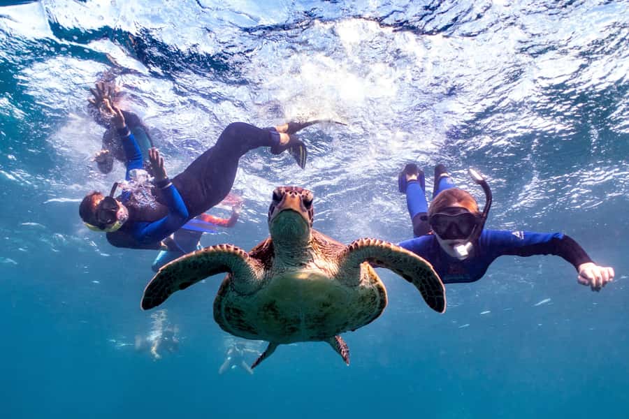Coral Bay: Marine Eco Safari - Swim With Manta Rays - Starting at 8:00 AM in Coral Bay