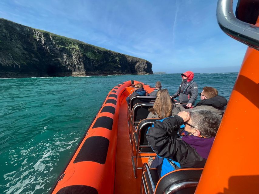 Cornwall: Guided Seal Safari by Boat - Setting off from Padstow on a one-hour RIB ride