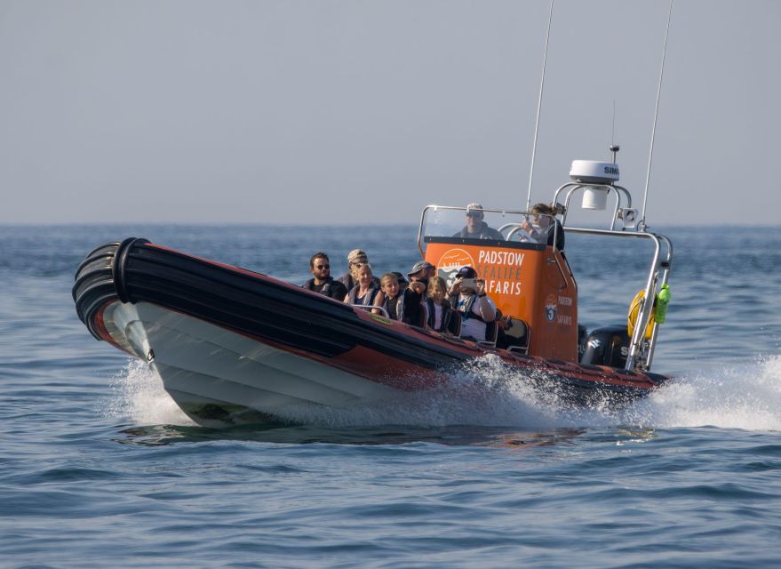Cornwall: Guided Seal Safari by Boat - Tides and weather can change the whole outing