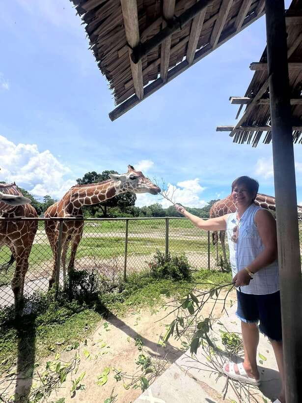 Coron: Calauit Safari Black Island Lunch & Transfer included - Should you book it?