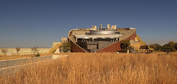 Cradle of Humankind Tour with Lion Safari from Johannesburg - Lions first, fossils later