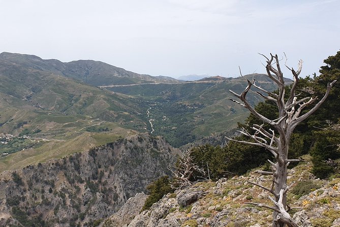 Cretan Safari – 4x4 Adventure to Preveli Beach with Lunch - Climbing into Crete’s mountain country