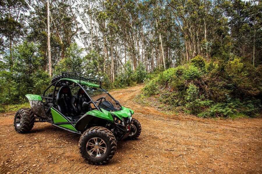 Crete buggy safari - Mountain roads, gorges, and wild goats at 700 meters