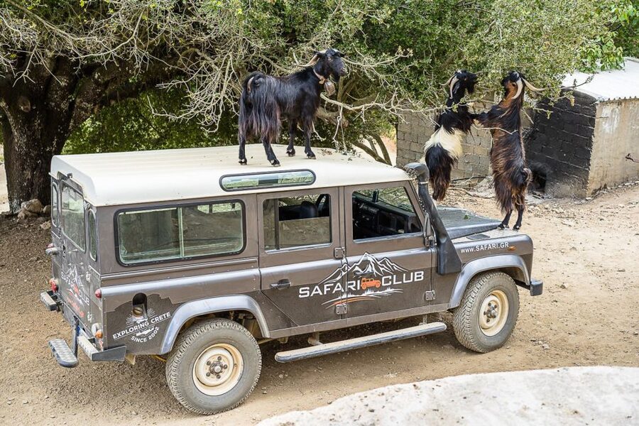 Crete: Land Rover Safari on Minoan Route - Raki in Kastamonitsa