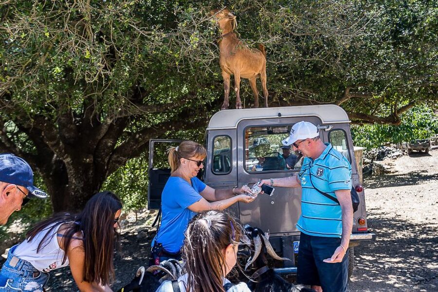 Crete: Land Rover Safari on Minoan Route - Greek mythology and the €6 cave option