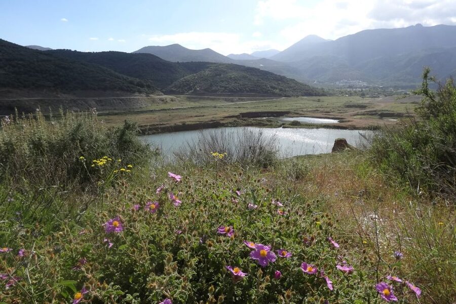 Crete: Land Rover Safari on Minoan Route - A generous taverna lunch with wine