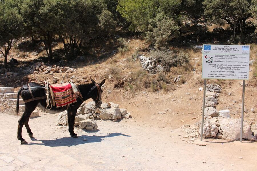 Crete: Land Rover Safari Through the Plateaus - Mountain roads, animal life, and wide Cretan views