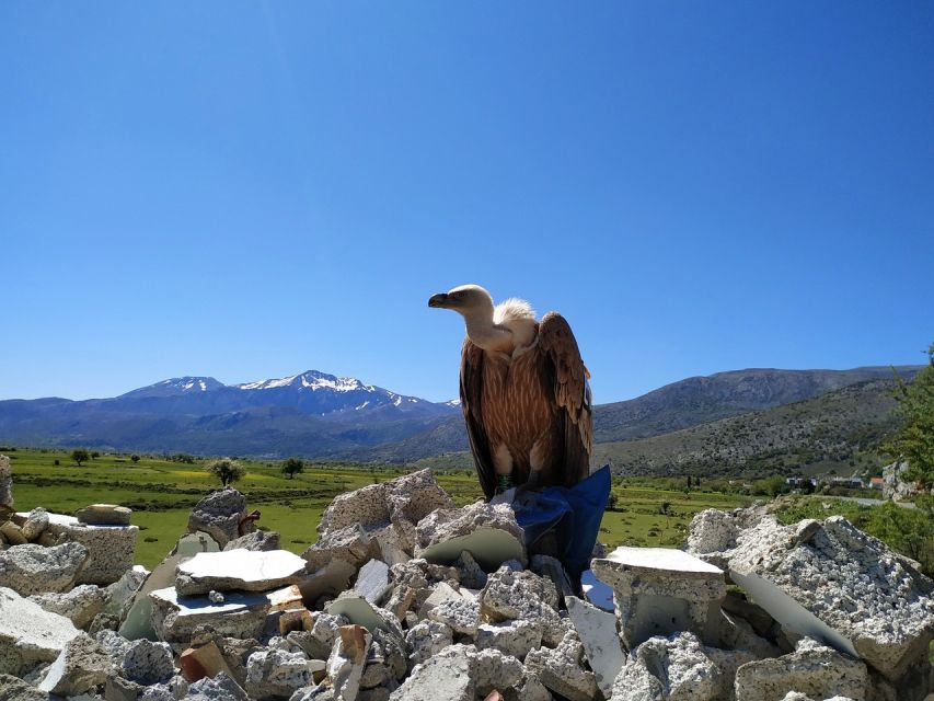 Crete: Lasithi Plateau and Cave of Zeus Off-Road Safari Tour - The return through Mochos and the Malia viewpoint