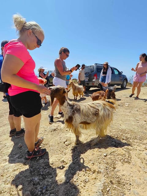 Crete: Lasithi Plateau Zeus Cave Guided Jeep Safari Tour - Why this jeep safari feels different from a standard Crete day trip