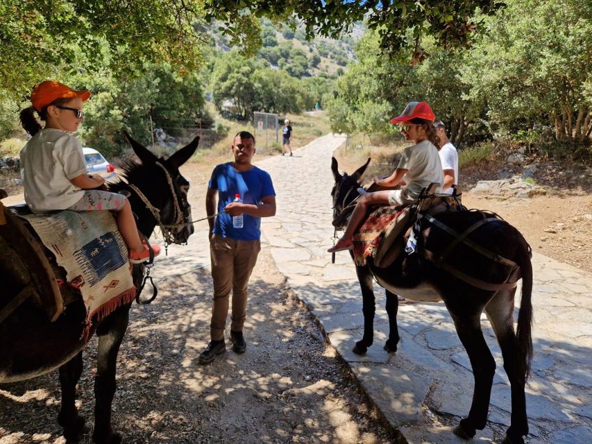 Crete: Lasithi Plateau Zeus Cave Guided Jeep Safari Tour - A genuine Cretan lunch in a village tavern