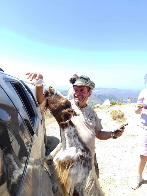 Crete: Lasithi Plateau Zeus Cave Guided Jeep Safari Tour - Shepherd’s cheese and the working countryside
