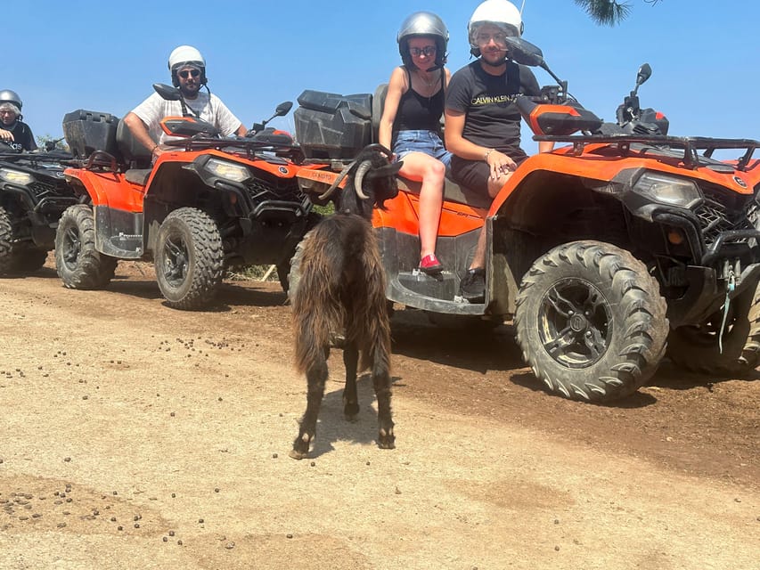 Crete: Quad Safari, Olive Mill with Tasting & Ghost Village - What the olive mill adds to the ride