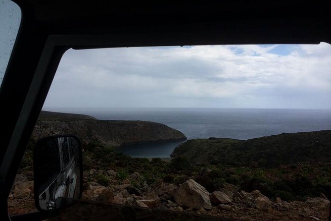 Crete's Wine and Olives Safari Tour from Chania - The ancient olive tree and Crete’s oil tradition