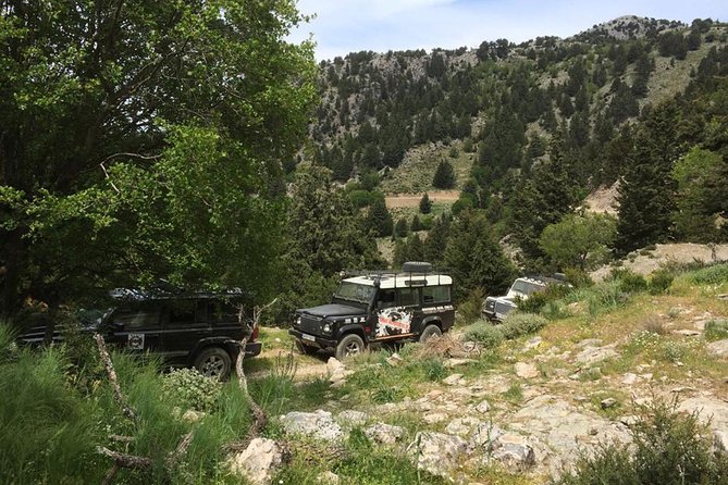 Crete's Wine and Olives Safari Tour from Chania - A home-cooked meal on the mountain road