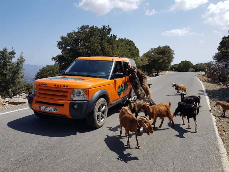 Crete: Sarakina Gorge, Forests, and South Coast Safari - Off-Road Roads and the Kroustas Forest