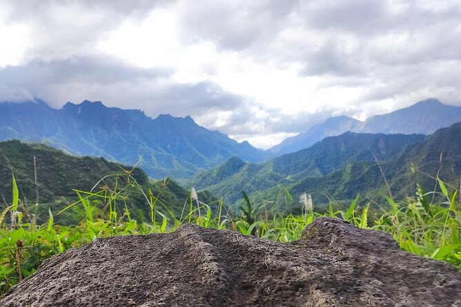 Crossing Over Tahiti Island Safari 4x4 - Who will enjoy this Tahiti safari?