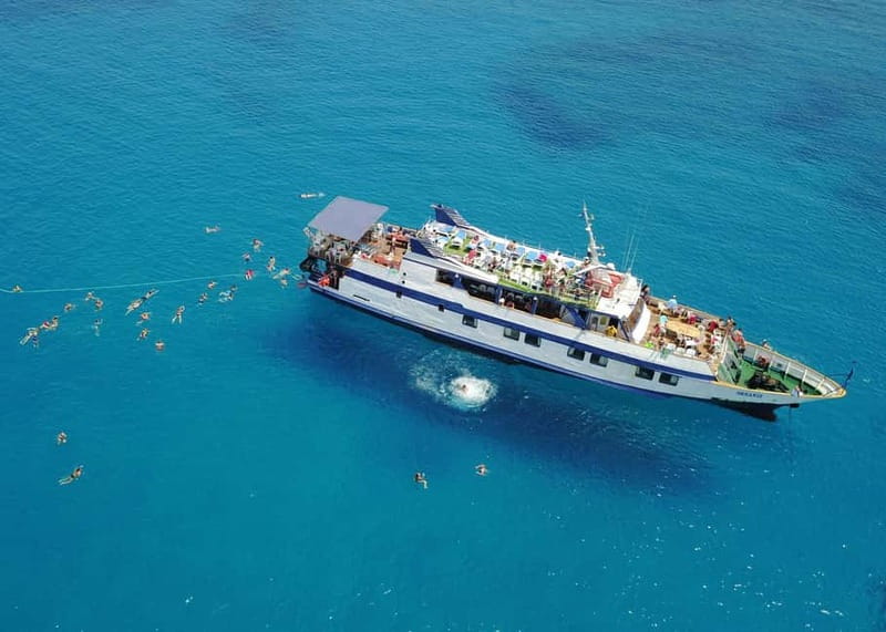 Cyprus: Odyssey Boat Safari from Larnaca to Protaras - Fish farms, dolphins, and the Ayia Napa coast