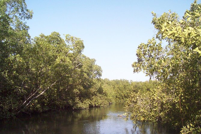 Day tour Somone lagoon and Bandia park Safari - The road from Dakar takes patience
