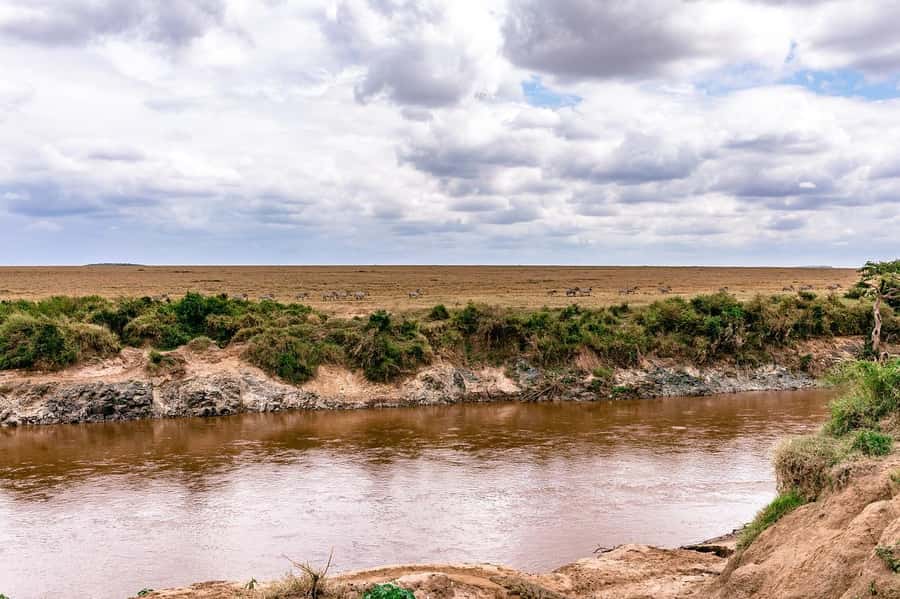 Day Tour to Maasai Mara & optional Maasai village visit - Why Maasai Mara makes such a strong day trip