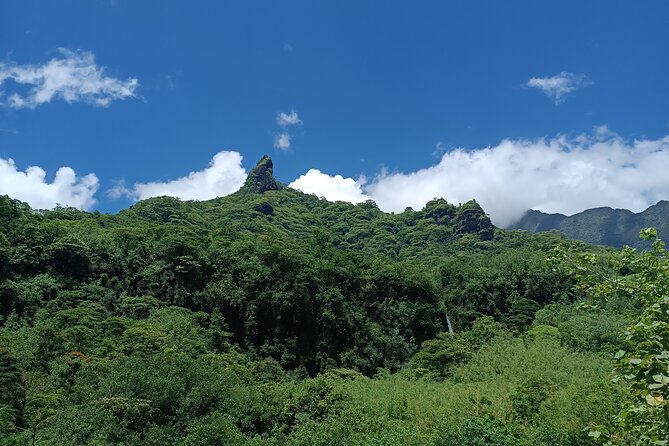 Découvrez le Mana durant la traversée de Tahiti en 4x4 Safari - The Vaihiria Lake section