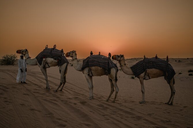Deluxe Sunset Desert Safari: SandSurfing, Camel Ride & BBQ dinner - A camel ride that keeps the focus on photographs