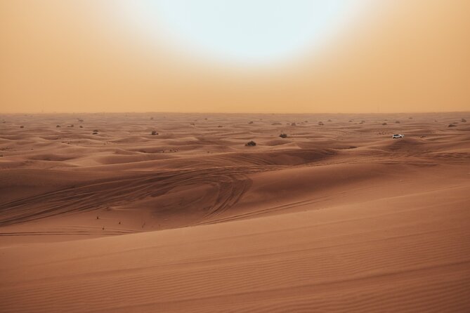 Deluxe Sunset Desert Safari: SandSurfing, Camel Ride & BBQ dinner - Sandboarding with a short, easy learning curve