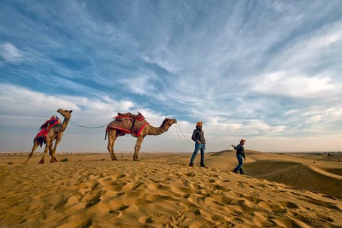 Desert Camel Safari Day Tour In Jodhpur - Key points at a glance