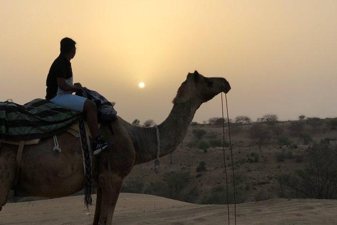 Desert Camel Safari Day Tour In Jodhpur - Leaving Jodhpur for Osian around 2 pm