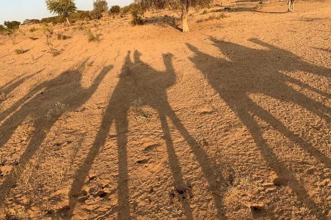Desert Camel Safari Day Tour In Jodhpur - Sachiya Mata Temple, the cultural stop