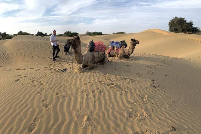 Desert Camel Safari & Jeep Safari Tour From Jodhpur - Camel riding near the Osian Desert