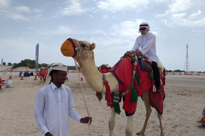 Desert Combo safari, Camel ride, Quad Bike and Dune Bashing(ALL INCLUSIVE) - The Inland Sea and the changing desert scenery