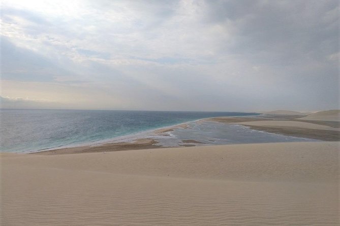Desert Combo safari, Camel ride, Quad Bike and Dune Bashing(ALL INCLUSIVE) - Guides, vehicles, and group size