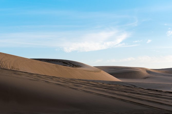 Desert Combo safari, Camel ride, Quad Bike and Dune Bashing(ALL INCLUSIVE) - Who will enjoy this tour most
