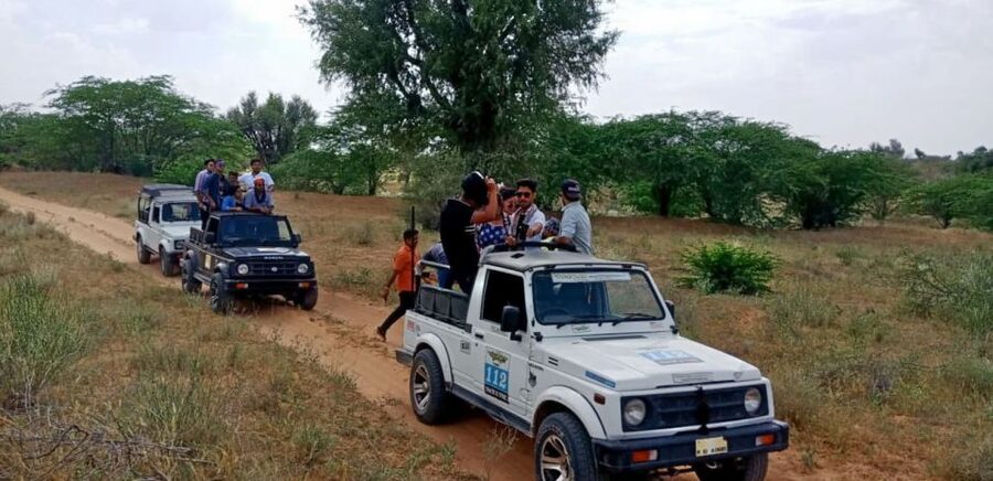 Desert Jeep Safari & Camel Safari Tour From Jodhpur - Key points at a glance