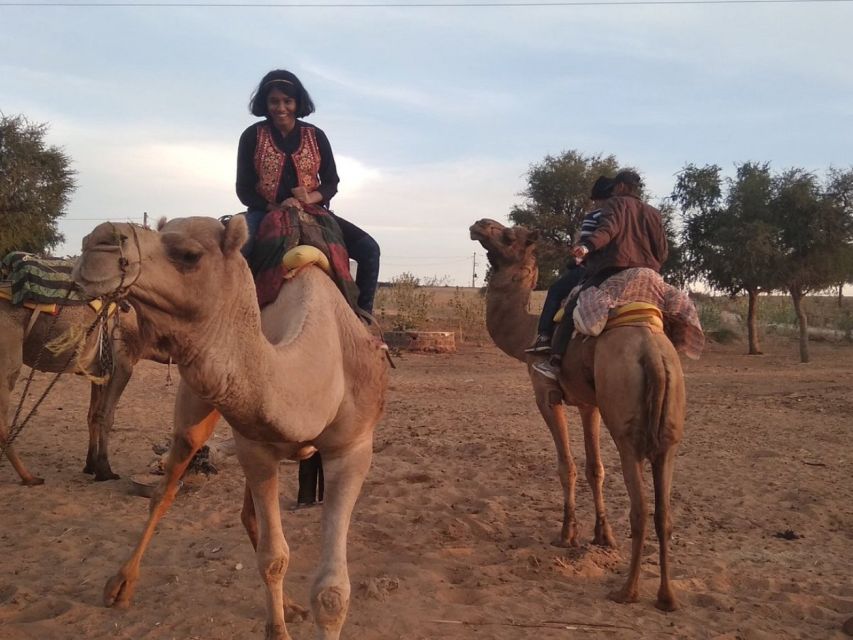 Desert Jeep Safari & Camel Safari Tour From Jodhpur - The 45-minute jeep safari