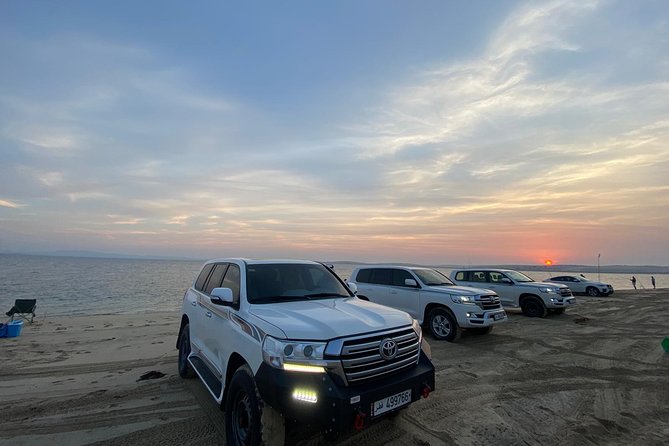 Desert Safari 7 Hours Tour with Dinner and Camp - Who Will Enjoy This Tour Most?